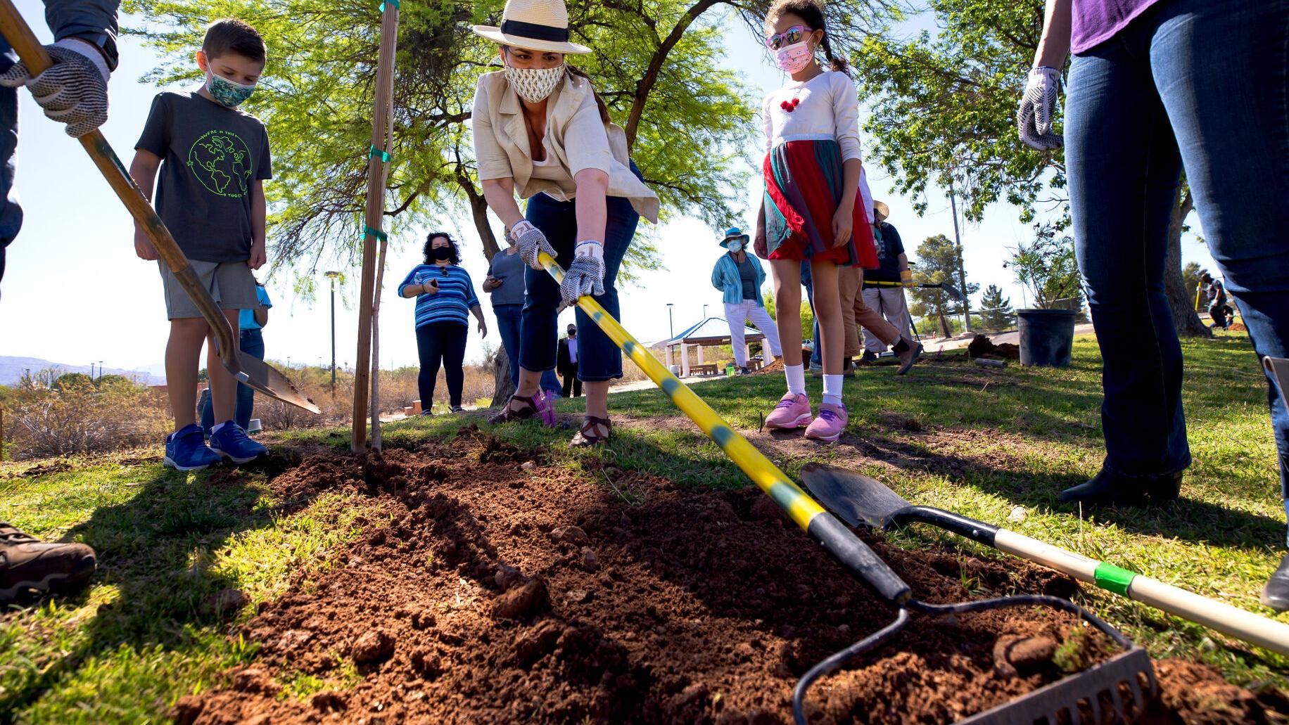 Lincoln Regional Park, trees